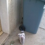 differenziata-torremaggiore