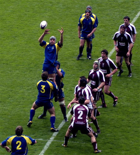 Nasce il Torremaggiore Rugby, ecco i dettagli per partecipare