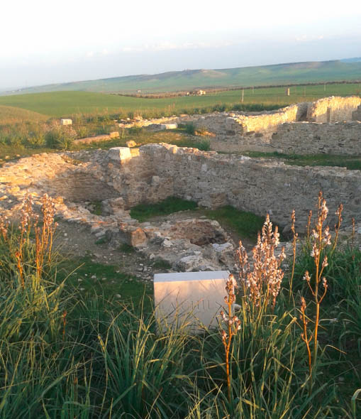 13 dicembre 2014,764 anni fa moriva Federico II a Castel Fiorentino in agro di Torremaggiore