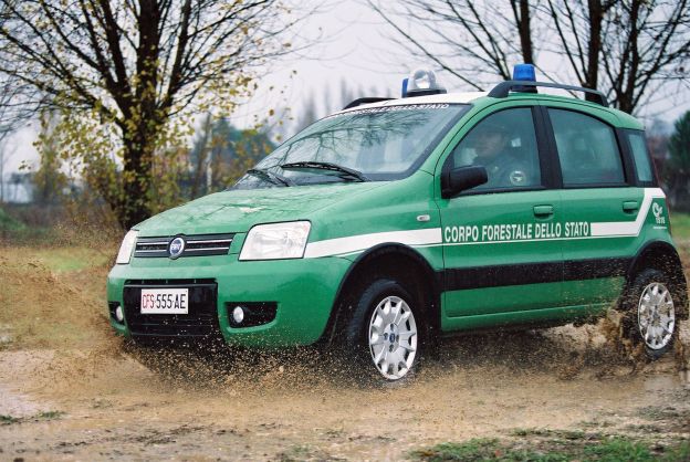 Sequestrate tartarughe esotiche a Torremaggiore dalla Forestale