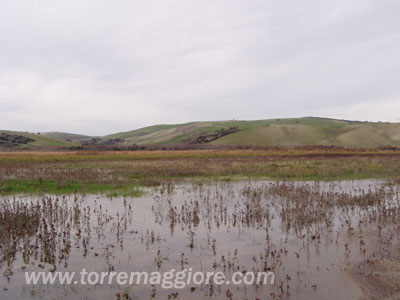 Torremaggiore: divieto di utilizzo acque sotterranee e di falda località Resicata