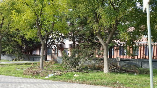 Segnalazione degrado cittadino : stato di abbandono dei rami tagliati su Via Luigi Einaudi