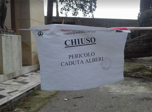 Caduto un cipresso al cimitero di Torremaggiore : ecco le foto