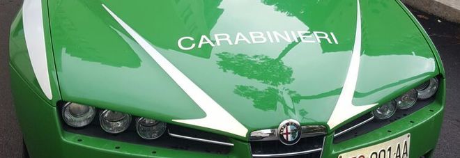 Fumi maleodoranti avvertiti a Torremaggiore: segnalazione formale alle Autorità competenti da parte del  Comitato Salute Alto Tavoliere