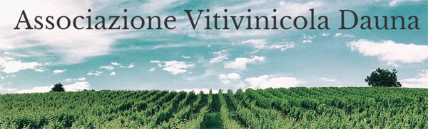 1^ Edizione del Concorso Enologico VINUM, i migliori vini pugliesi a concorso