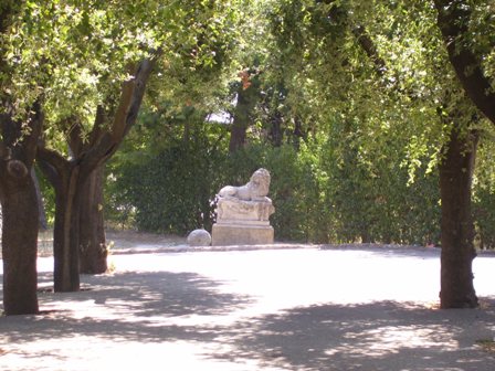 Gare di corsa campestre a Torremaggiore il 3 febbraio 2018, ecco il resoconto dell’iniziativa