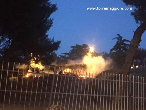 Domato incendio doloso a ridosso della Villa Comunale Federico II a Torremaggiore il 10 luglio 2017