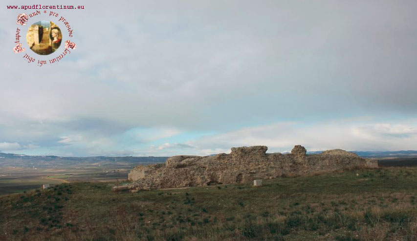 Rammarico del Comitato nazionale per la tutela dei ruderi di Fiorentino per la mancata tutela dell’area demaniale del sito federiciano