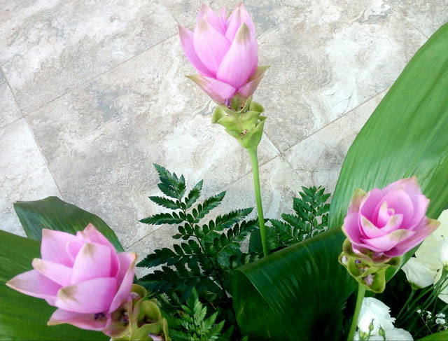 Un saluto corale ai tre figli di Torremaggiore : l’intera comunità presente ai funerali