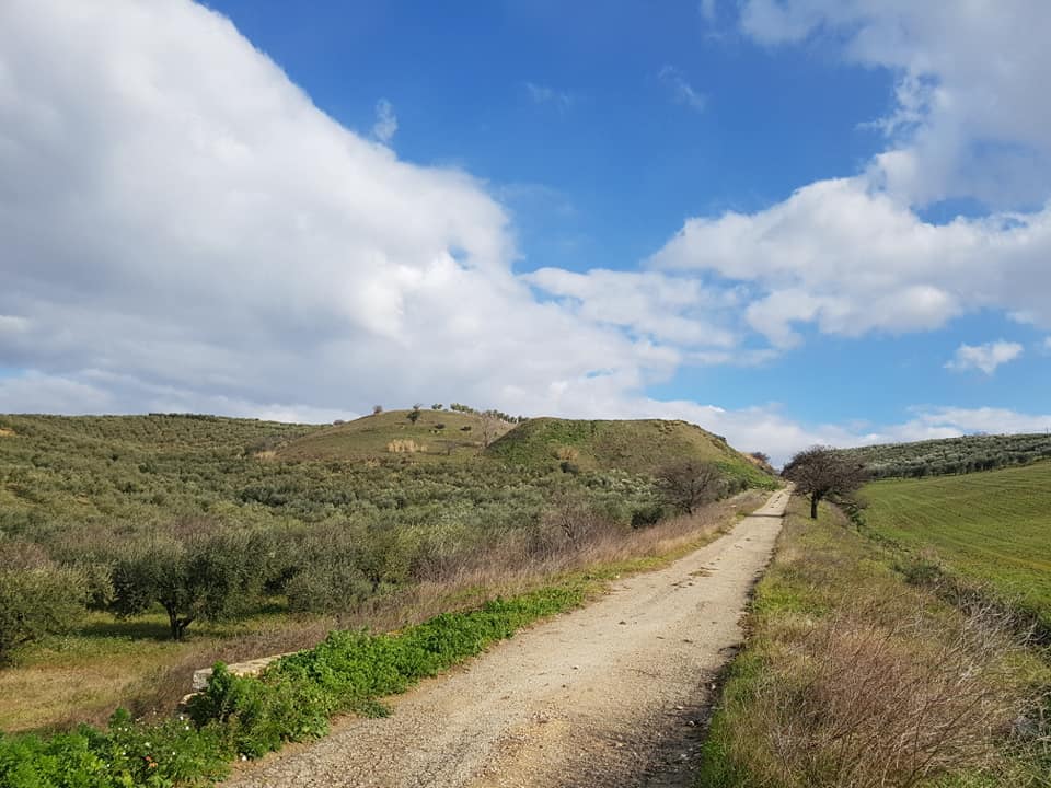 Pubblicata la gara per i lavori della bonifica della ex discarica in località Resicata,Lino Monteleone ne rivendica la paternità