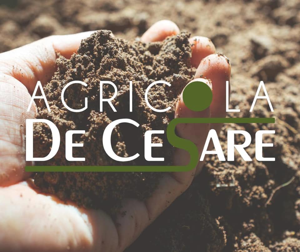 Sabotaggio cantine: nota dell’Agricola De Cesare di Torremaggiore