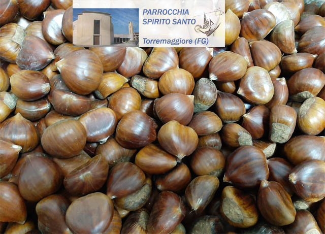 Castagnata di comunità a Torremaggiore alla Parrocchia Spirito Santo in onore di San Martino di Tours in data 11 novembre 2019