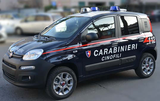 Controlli antidroga a Torremaggiore da parte del Nucleo Cinofili dei Carabinieri : un arresto ed una denuncia