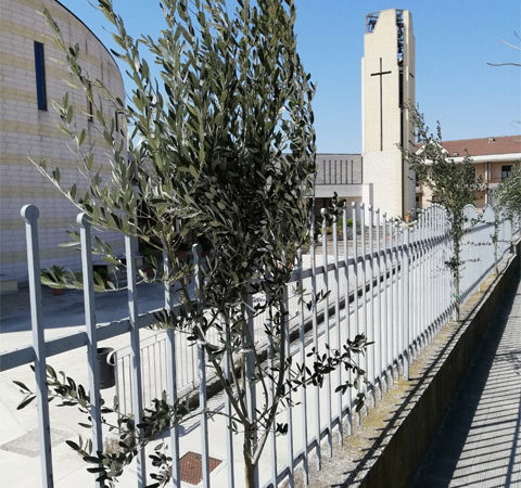 Parrocchia Spirito Santo Torremaggiore : per vivere bene la Settimana di Gesù!