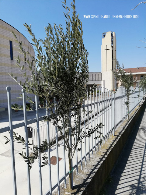 Parrocchia Spirito Santo Torremaggiore : per vivere bene la Settimana di Gesù!