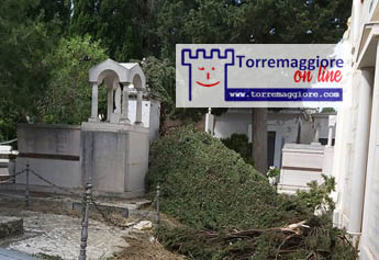 Vento forte a Torremaggiore: cipressi caduti anche al Cimitero