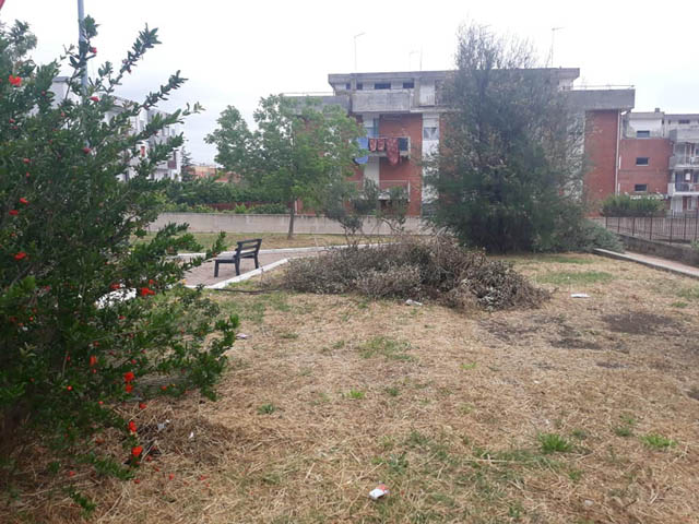 Marco Faienza: cosa si deve fare per tenere pulita Torremaggiore!