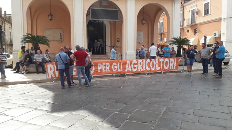Monito di Peppino Lamedica sul tema agricoltura: basta lacrime! Occorre rimboccarsi le maniche!