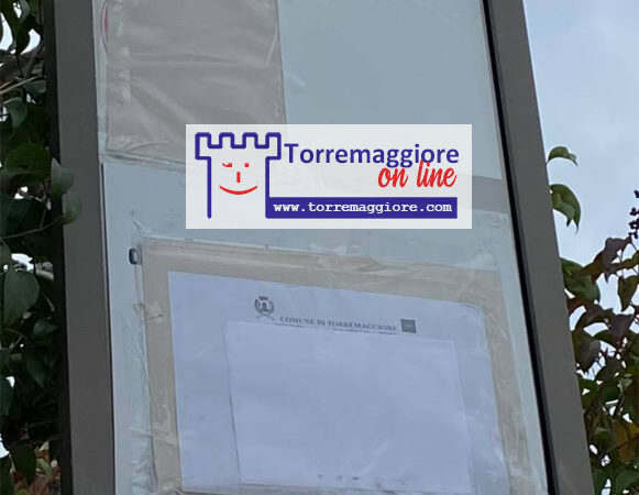 Fratelli d’Italia e Idea Popolo Libertà: forse tu non pensavi ch’io loico fossi