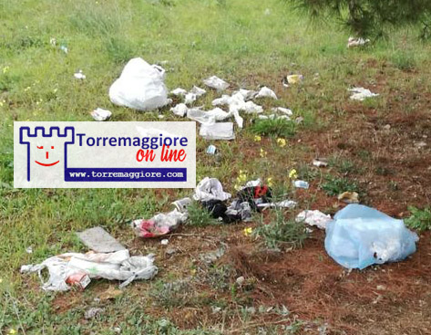 Verde pubblico degradato su Viale XXV Aprile a Torremaggiore: fermate il malcostume dilagante!
