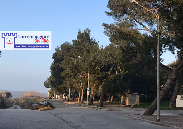 Ricevuto il finanziamento di oltre due milioni di euro per la mitigazione del rischio idrogeologico sulla strada extraurbana Torremaggiore Lesina, l’annuncio del sindaco