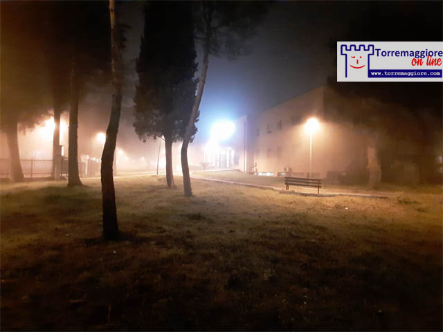 Nebbia a Torremaggiore il 21 febbraio 2021: galleria fotografica completa