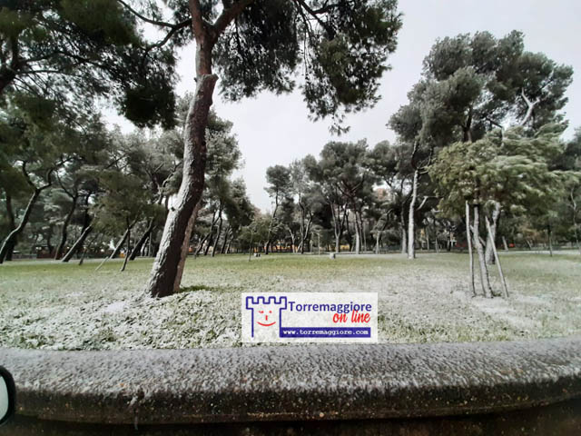 13 febbraio 2021: prima neve a Torremaggiore, ecco le prime foto