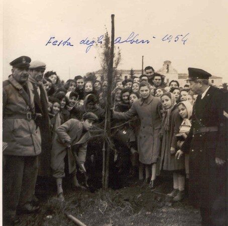 21 novembre 1954: settanta anni fa veniva inaugurata la Pineta Comunale su idea del sindaco Prof Michele Cammisa in occasione della Festa dell’Albero