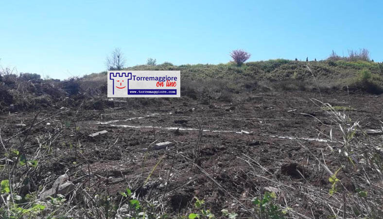 Nota di Luigi Marangi: cattivi maestri