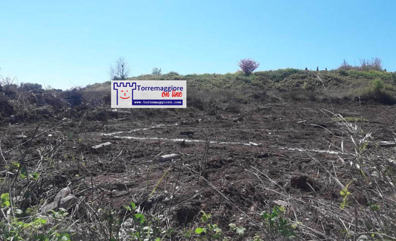 Nota di Luigi Marangi: cattivi maestri