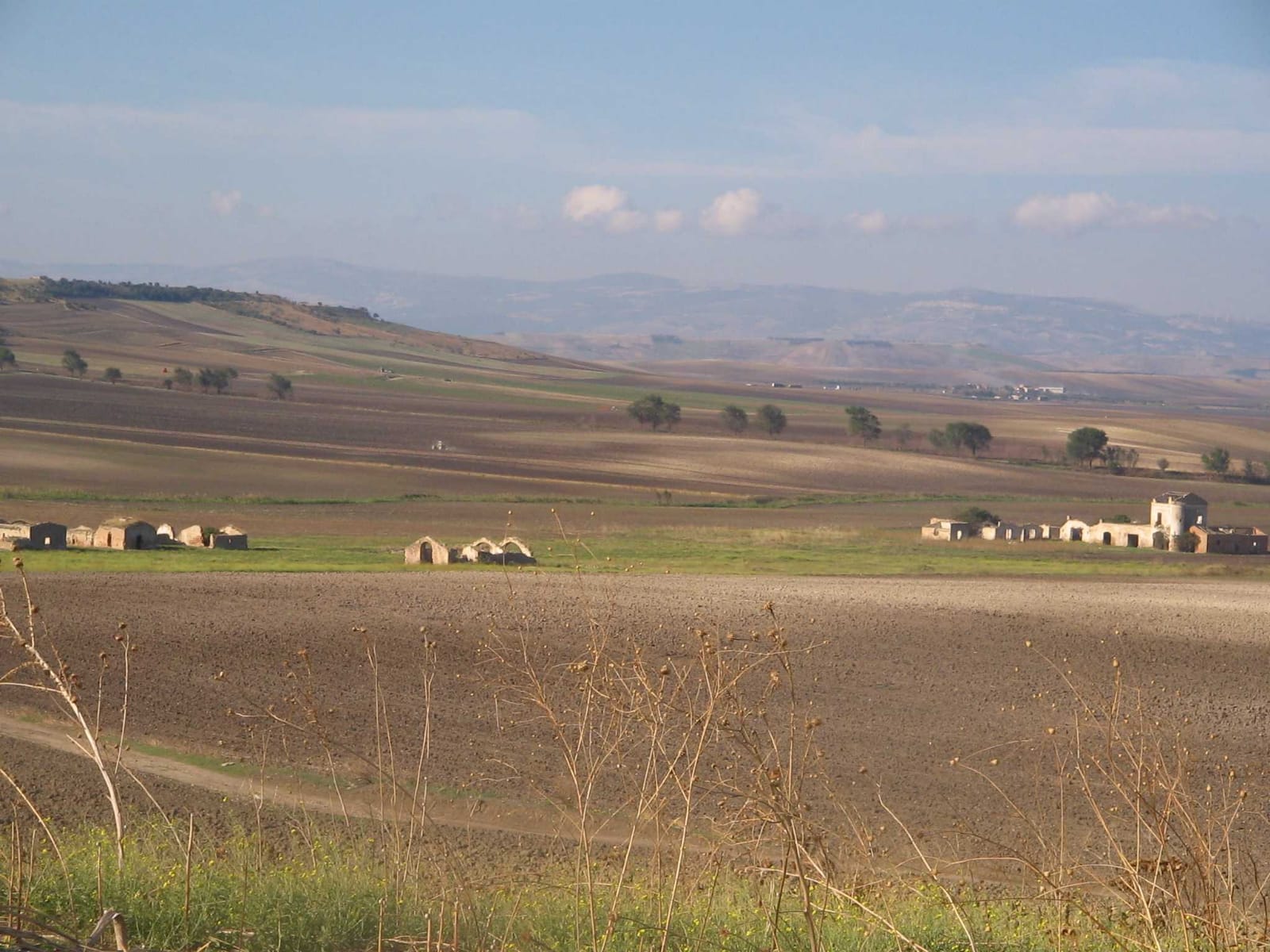 In stampa nelle prossime settimane il libro di Antonio Di Cesare sullo studio e censimento delle masserie storiche e fabbricati rurali presenti nell’agro di Torremaggiore