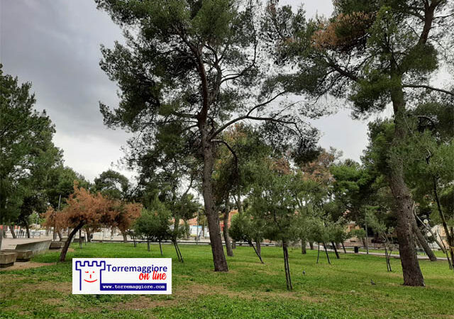 Conferenza di servizio sul tema della manutenzione della Pineta Comunale Baden Powell e delle aree a verde urbano il 13 dicembre alle 18.30 al Castello Ducale De Sangro