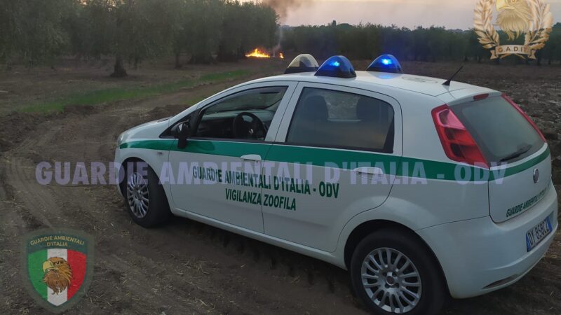 Intervento delle Guardie Ambientali D’Italia per un incendio di tubi di plastica a Torremaggiore in Contrada Cisterne
