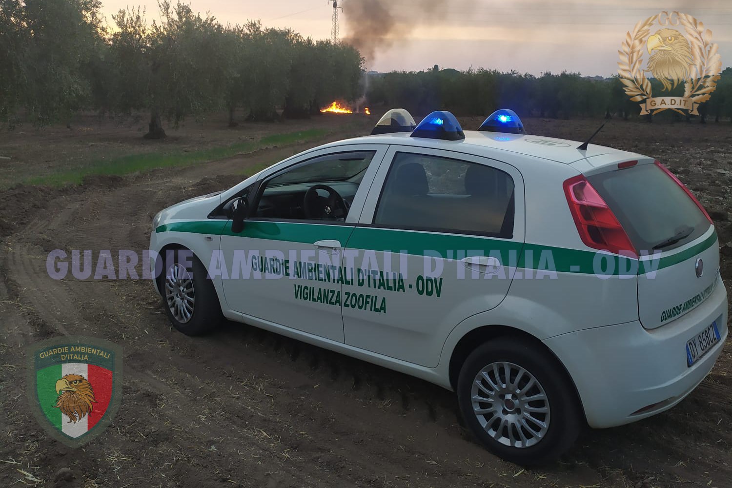 Intervento delle Guardie Ambientali D’Italia per un incendio di tubi di plastica a Torremaggiore in Contrada Cisterne