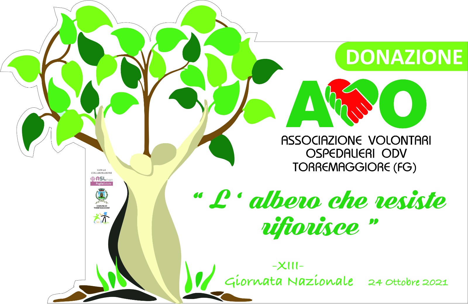 L’albero che resiste rifiorisce: evento dell’AVO il 21 ottobre 2021 al PTA Prof Bellantuono a Torremaggiore con la piantumazione di un cedro libanese