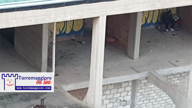 Nota delle opposizioni su opere pubbliche, teatro, concorsi bloccati, PEEP, affidi diretti: ed ora cosa volete fare da grandi?