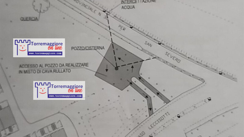 Le segreterie cittadine dell’opposizione insorgono sul taglio degli alberi a Torremaggiore e annunciano battaglia su questa deforestazione gratuita e sulle zone d’ombra dell’amministrazione Di Pumpo