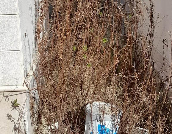 A Torremaggiore la minoranza all’attacco dell’amministrazione Di Pumpo su Polizia Locale, Ufficio Ragioneria, Ufficio Tecnico e Cimitero