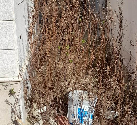 A Torremaggiore la minoranza all’attacco dell’amministrazione Di Pumpo su Polizia Locale, Ufficio Ragioneria, Ufficio Tecnico e Cimitero