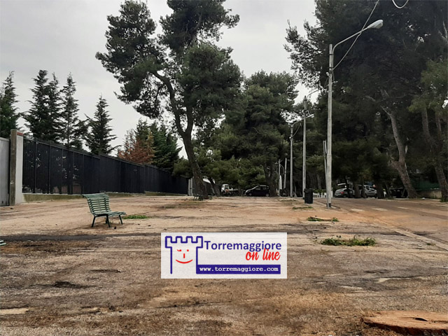 Avviato taglio degli alberi nella Pineta Baden Powell di Torremaggiore nel silenzio generale. Addio ombra estiva e benvenuto deserto!