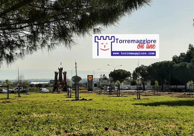 Costituito a Torremaggiore il Comitato del  Quartiere San Francesco per chiedere il reimpianto degli alberi eradicati al Parco della Quercia San Pio e il termine del deturpamento dell’area
