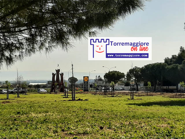 Costituito a Torremaggiore il Comitato del  Quartiere San Francesco per chiedere il reimpianto degli alberi eradicati al Parco della Quercia San Pio e il termine del deturpamento dell’area