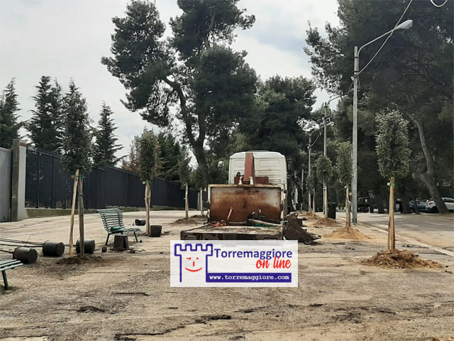 Torremaggiore: al via con la piantumazione dei lecci su Viale Giuseppe Di Vittorio