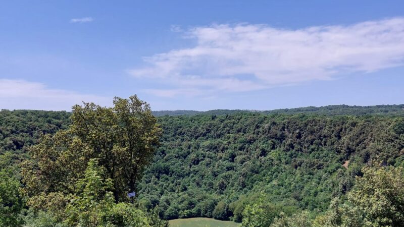 Il primo premio di Poesia 2022 XVIII edizione il sentiero dell’anima è stato assegnato alle studentesse torremaggioresi Marianna Pia Lamedica ed Angela Pia Lamedica della 1^A della Secondaria di primo grado dell’Istituto Comprensivo Nenni