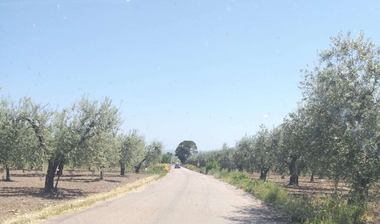 Il centrodestra torremaggiorese chiede al Ministero delle Infrastrutture una ispezione per la SP32, arteria pericolosa che merita altre considerazioni per la sicurezza degli automobilisti