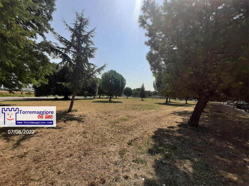 E’ stata falciata l’erba al Parco San Pio di Torremaggiore: galleria fotografica completa al 7 agosto 2022