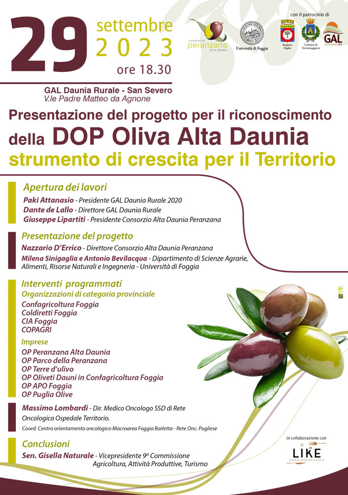 L’avvio del progetto per il riconoscimento della DOP Oliva Alta Daunia: se ne parla il 29 settembre 2023