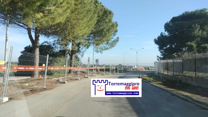 A Torremaggiore al via la riqualificazione di Via Don Tommaso Leccisotti: tagliati i pini presenti sullo spartitraffico