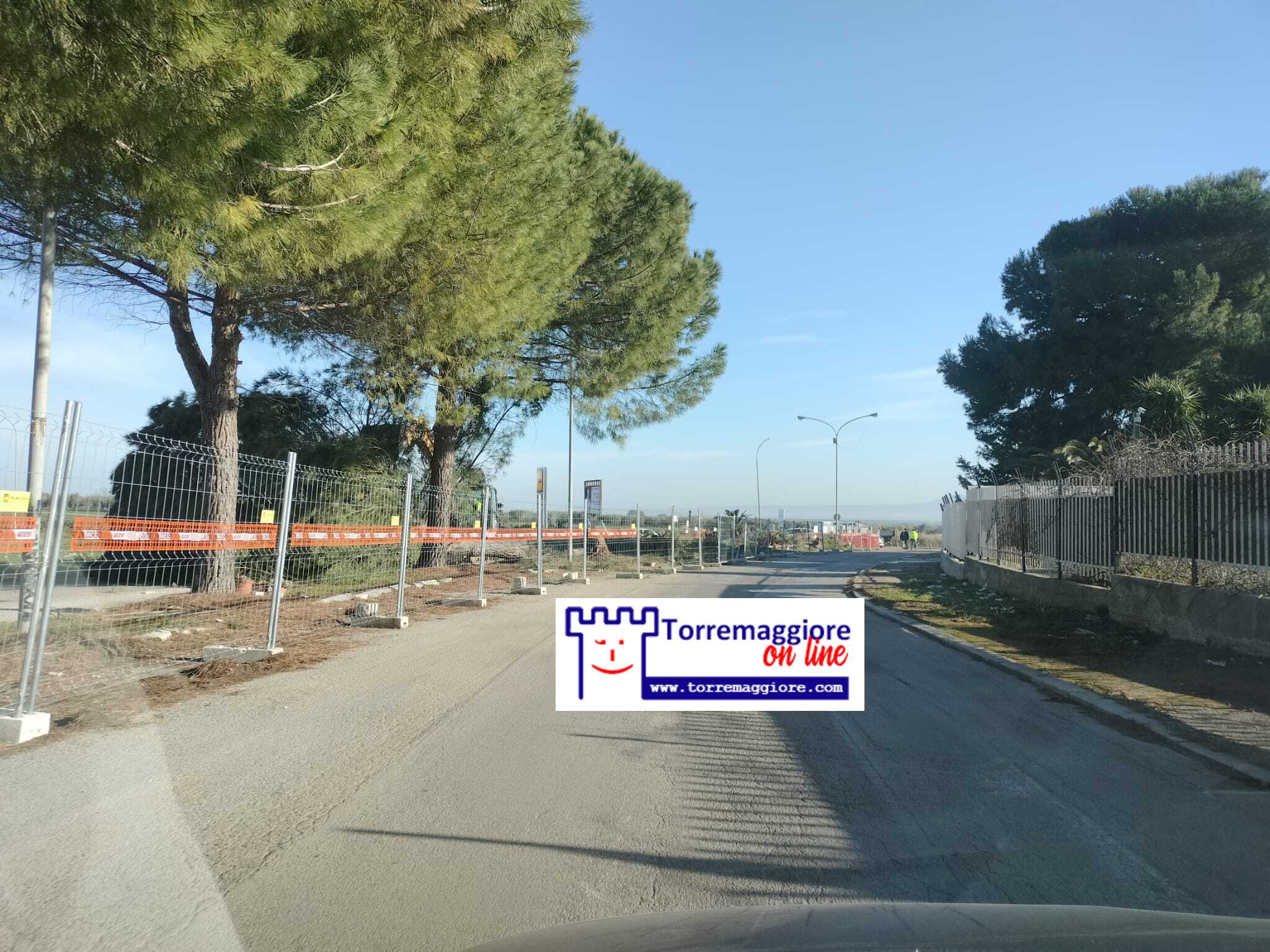 A Torremaggiore al via la riqualificazione di Via Don Tommaso Leccisotti: tagliati i pini presenti sullo spartitraffico