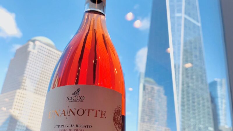Le Cantine Sacco Vignaioli Apuli di Torremaggiore protagoniste a Slow Wine USA 2024 a Washington, New York, Austin e Denver